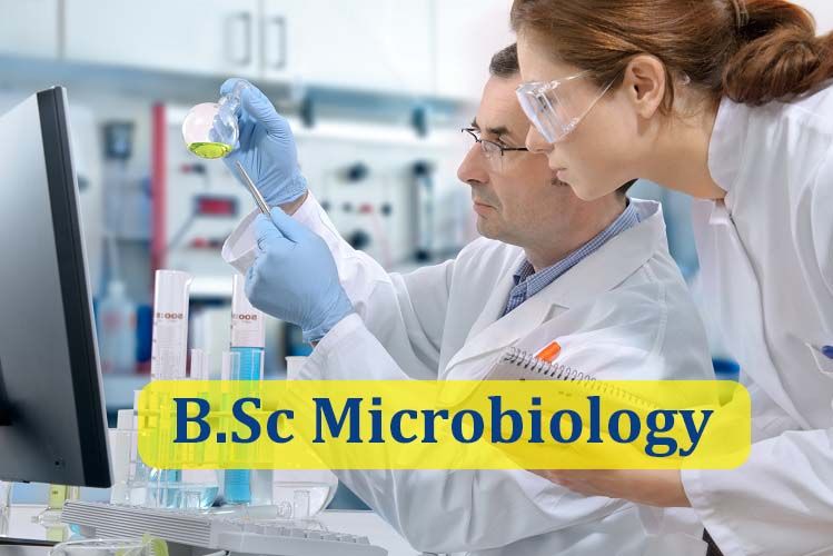 B Sc Microbiology