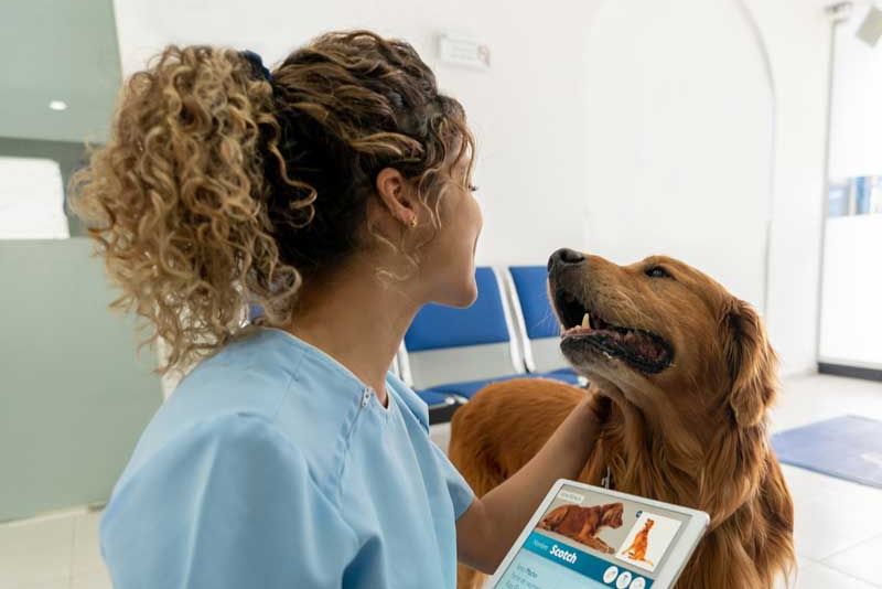 Changed Veterinary Medicine