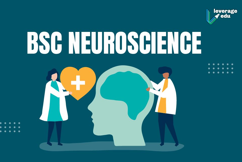 Bsc Neuroscience