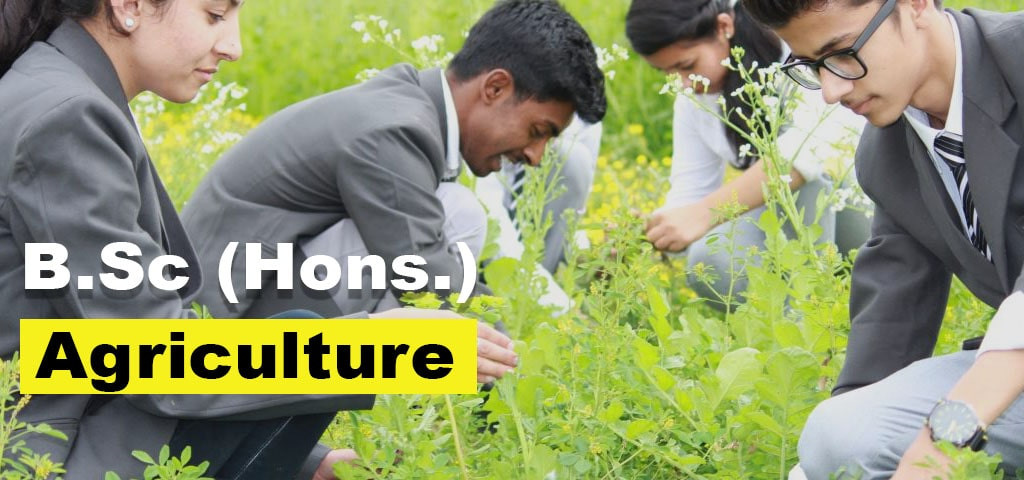 Bsc Agriculture