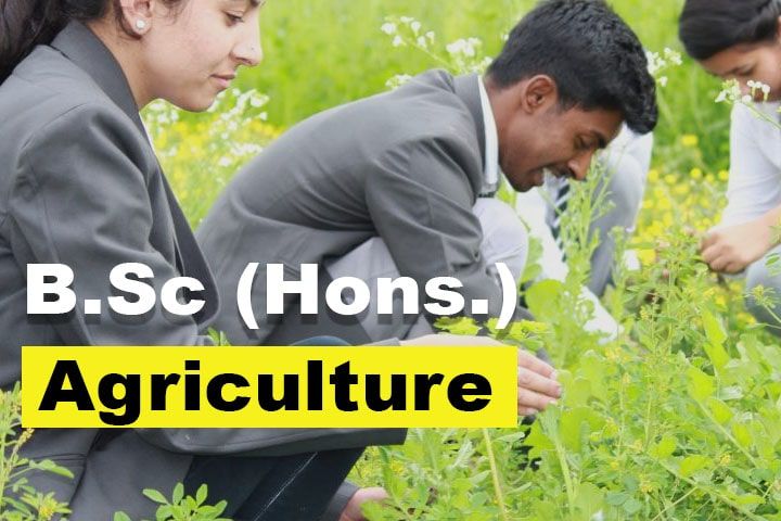 B Sc Agriculture Course In Punjab Pimt Min